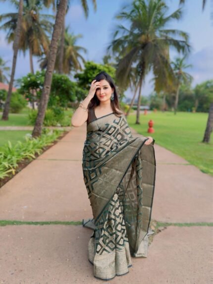 Trendy Organza Saree With Contrast Blouse